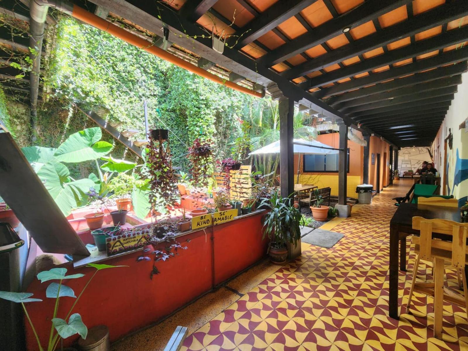 Amura Hostal Antigua Екстер'єр фото